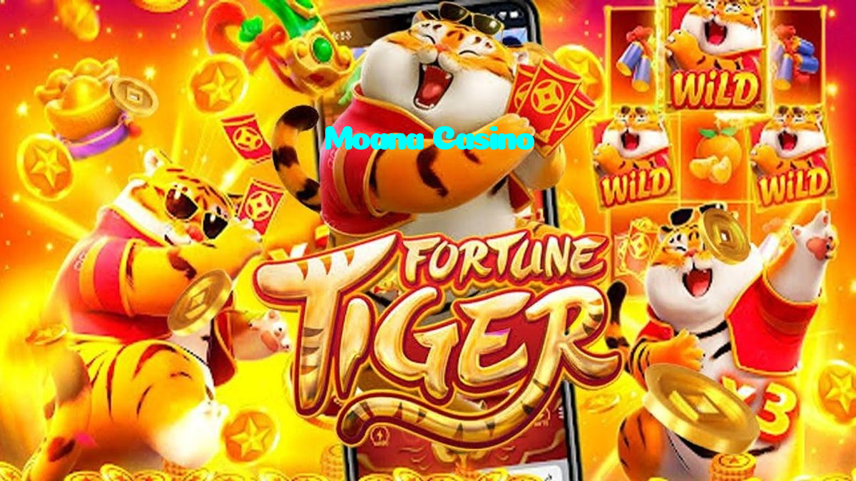 available types of Moana Casino bet including pre-match live express and system bets